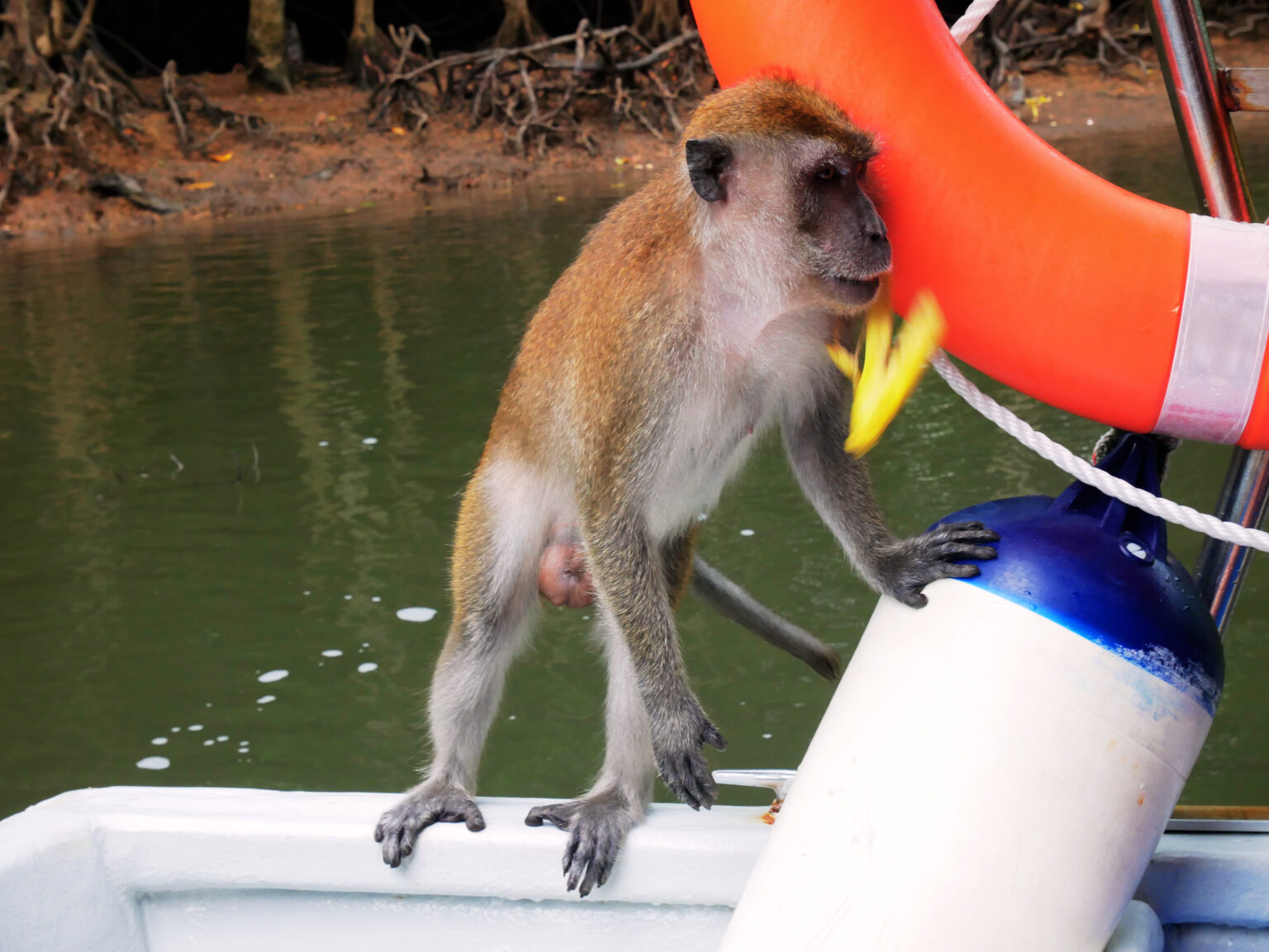 langkawi